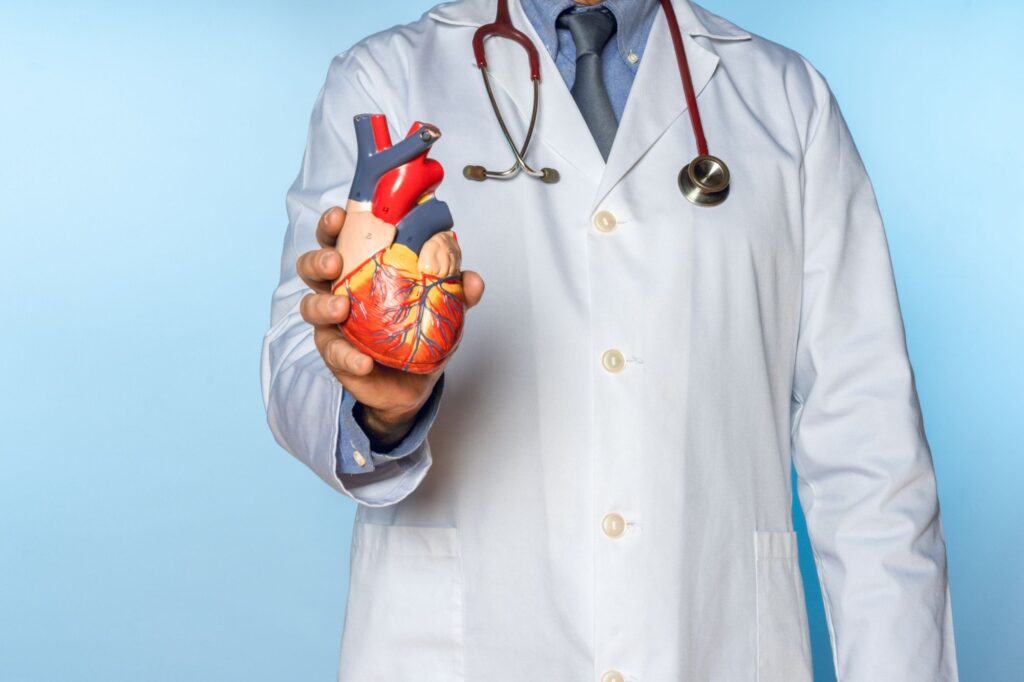 doctor-holds-heart-model-for-medical-presentation-2026-03-09-23-02-14-utc