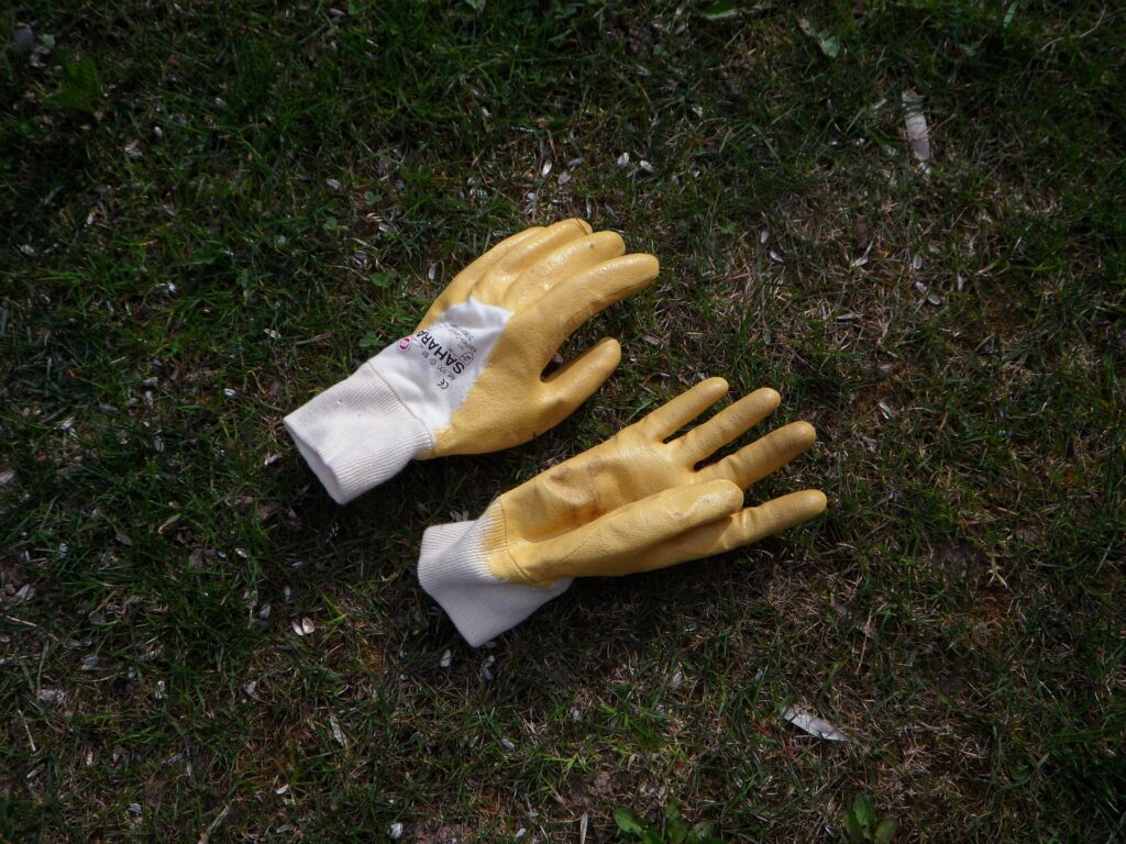 efraimstochter-gloves-107005_1920