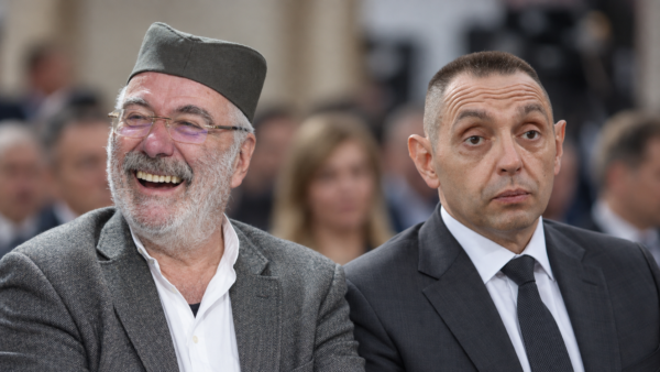 vulin i nestorović